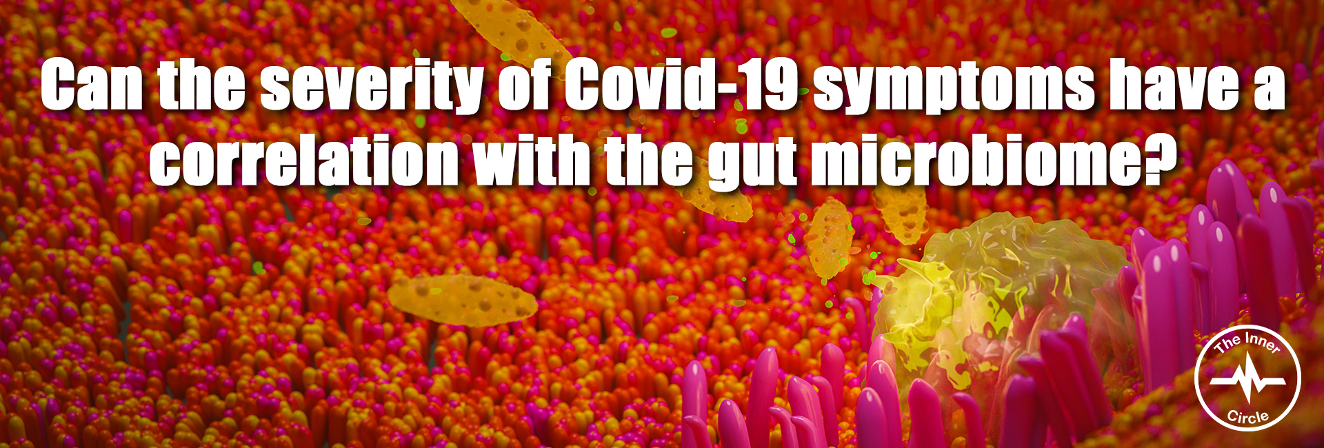 Can the severity of Covid-19 symptoms have a correlation with the gut microbiome?