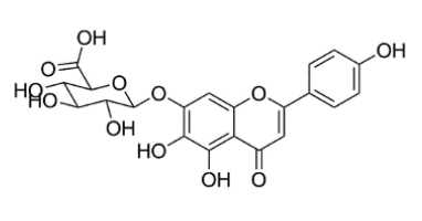Breviscapine Extract
