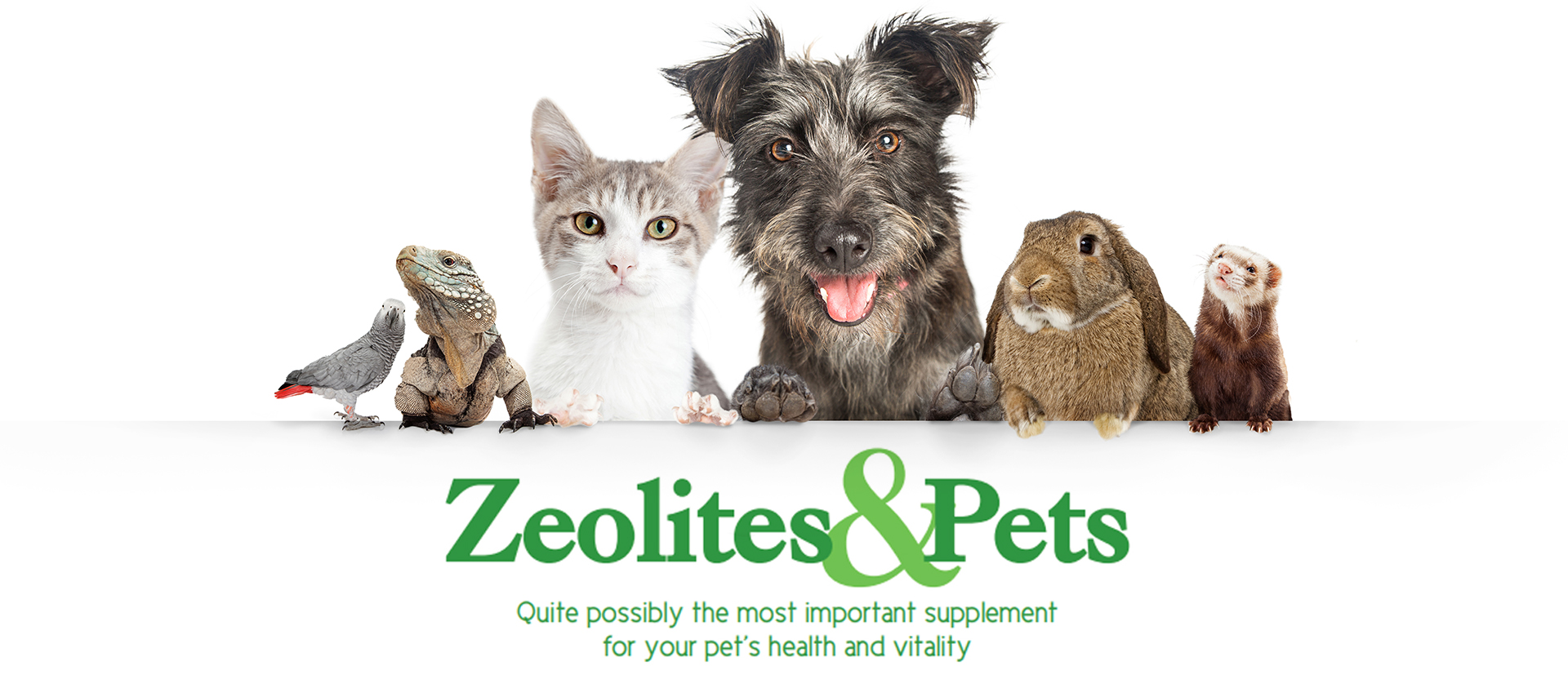 Zeolites & Pets